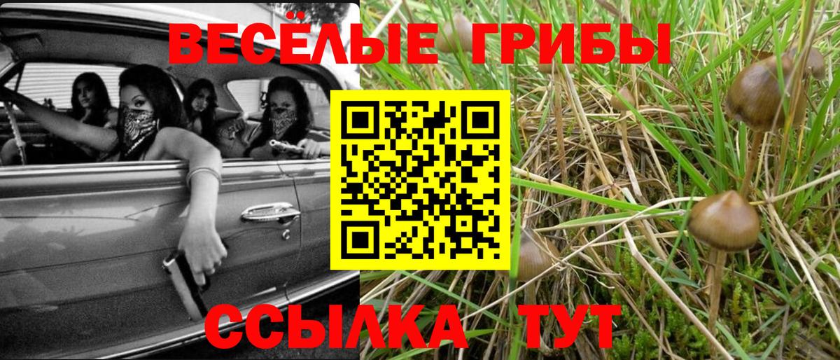 Галлюциногенные грибы прущие грибы Новоалександровск